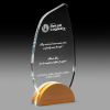 Clear Acrylic Award with Solid Timber Base Pop SDP