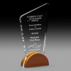 Clear Acrylic Award with Solid Timber Base Retro SDR