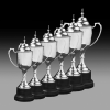 Budget Silver Trophy Cup IC