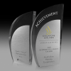 Modern Acrylic Trophy with Metallic Fascia Platinum Wind PAW
