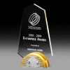 Acrylic and Timber Award with Metal Trim Spear SDS