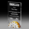 Acrylic and Timber Award with Metal Trim Tower SDT Acrylic and Timber Award with Metal Trim Tower SDT